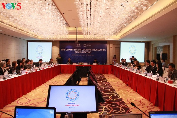 APEC 2017: les délégués débattent des procédures douanières et des finances - ảnh 1